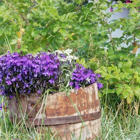 דירה Marcolski ברויל-קרוויניה