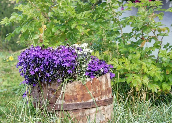 Appartement Marcolski Breuil-Cervinia